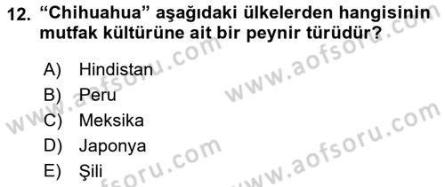Dünya Mutfakları 1 Dersi 2022 - 2023 Yılı Yaz Okulu Sınav Soruları 12. Soru