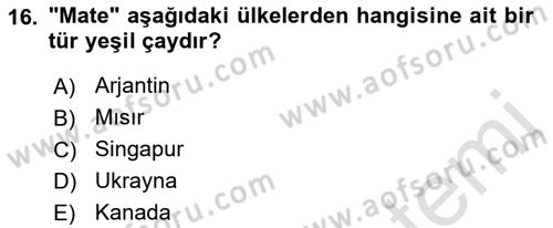 Dünya Mutfakları 1 Dersi 2022 - 2023 Yılı Yaz Okulu Sınav Soruları 16. Soru