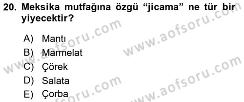 Dünya Mutfakları 1 Dersi 2022 - 2023 Yılı Yaz Okulu Sınav Soruları 20. Soru