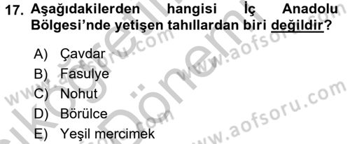 Yöresel Mutfaklar Dersi 2016 - 2017 Yılı (Vize) Ara Sınav Soruları 17. Soru