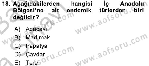 Yöresel Mutfaklar Dersi 2016 - 2017 Yılı (Vize) Ara Sınav Soruları 18. Soru