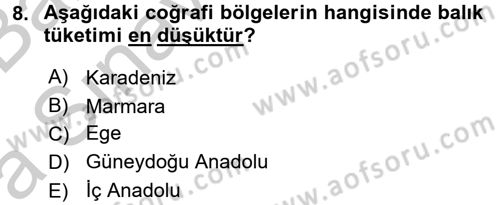 Yöresel Mutfaklar Dersi 2016 - 2017 Yılı (Vize) Ara Sınav Soruları 8. Soru
