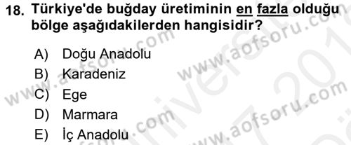 Yöresel Mutfaklar Dersi 2017 - 2018 Yılı (Vize) Ara Sınav Soruları 18. Soru