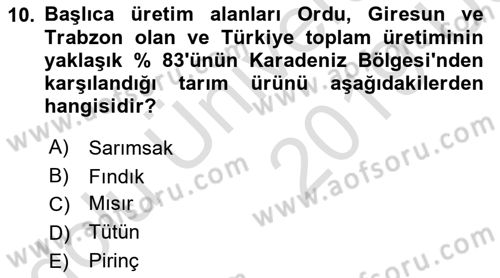 Yöresel Mutfaklar Dersi 2018 - 2019 Yılı 3 Ders Sınavı 10. Soru