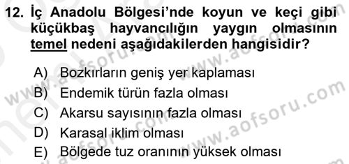Yöresel Mutfaklar Dersi 2018 - 2019 Yılı (Vize) Ara Sınav Soruları 12. Soru
