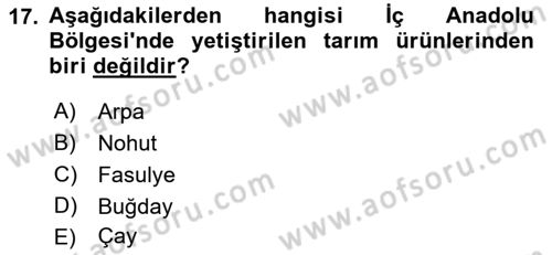 Yöresel Mutfaklar Dersi 2018 - 2019 Yılı (Vize) Ara Sınav Soruları 17. Soru