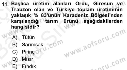 Yöresel Mutfaklar Dersi 2018 - 2019 Yılı (Final) Dönem Sonu Sınavı 11. Soru