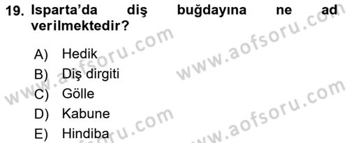 Yöresel Mutfaklar Dersi 2020 - 2021 Yılı Yaz Okulu Sınav Soruları 19. Soru