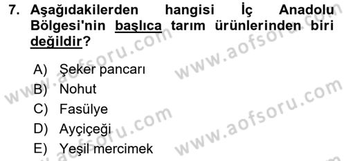 Yöresel Mutfaklar Dersi 2020 - 2021 Yılı Yaz Okulu Sınav Soruları 7. Soru