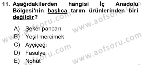Yöresel Mutfaklar Dersi 2021 - 2022 Yılı (Vize) Ara Sınav Soruları 11. Soru