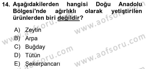 Yöresel Mutfaklar Dersi 2021 - 2022 Yılı (Vize) Ara Sınav Soruları 14. Soru