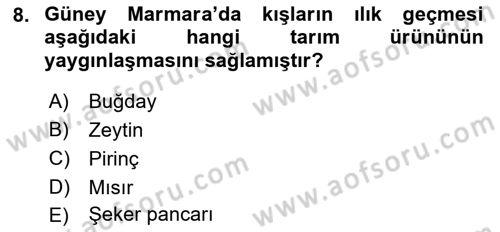 Yöresel Mutfaklar Dersi 2021 - 2022 Yılı (Vize) Ara Sınav Soruları 8. Soru