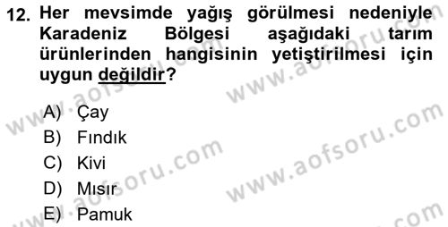 Yöresel Mutfaklar Dersi 2021 - 2022 Yılı (Final) Dönem Sonu Sınav Soruları 12. Soru