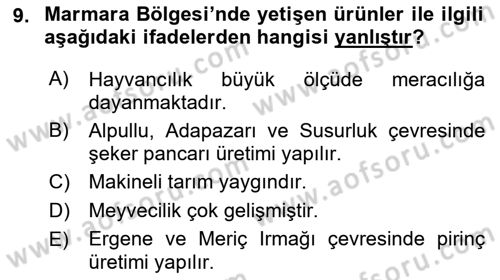 Yöresel Mutfaklar Dersi 2021 - 2022 Yılı Yaz Okulu Sınav Soruları 9. Soru