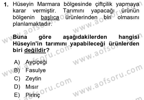 Yöresel Mutfaklar Dersi 2023 - 2024 Yılı (Vize) Ara Sınav Soruları 1. Soru