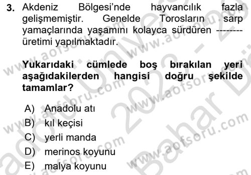 Yöresel Mutfaklar Dersi 2023 - 2024 Yılı (Vize) Ara Sınav Soruları 3. Soru