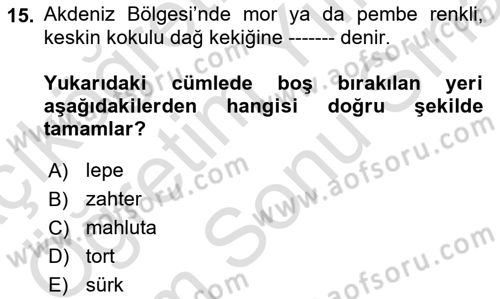 Yöresel Mutfaklar Dersi 2023 - 2024 Yılı (Final) Dönem Sonu Sınav Soruları 15. Soru