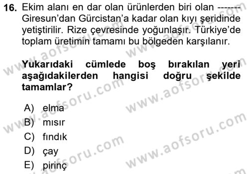Yöresel Mutfaklar Dersi 2023 - 2024 Yılı Yaz Okulu Sınav Soruları 16. Soru