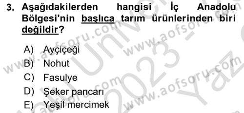 Yöresel Mutfaklar Dersi 2023 - 2024 Yılı Yaz Okulu Sınav Soruları 3. Soru