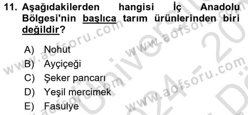 Yöresel Mutfaklar Dersi 2024 - 2025 Yılı (Vize) Ara Sınav Soruları 11. Soru