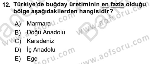 Yöresel Mutfaklar Dersi 2024 - 2025 Yılı (Vize) Ara Sınav Soruları 12. Soru
