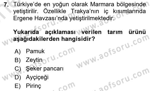 Yöresel Mutfaklar Dersi 2024 - 2025 Yılı (Vize) Ara Sınav Soruları 7. Soru