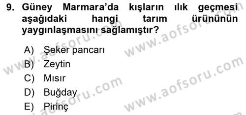 Yöresel Mutfaklar Dersi 2024 - 2025 Yılı (Vize) Ara Sınav Soruları 9. Soru