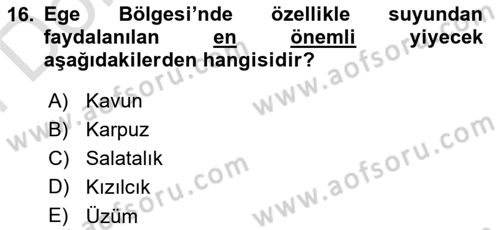 Yöresel Mutfaklar Dersi 2024 - 2025 Yılı (Final) Dönem Sonu Sınav Soruları 16. Soru