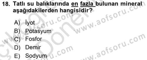 Temel Mutfak Teknikleri Dersi Ara Sınavı Deneme Sınav Soruları 18. Soru