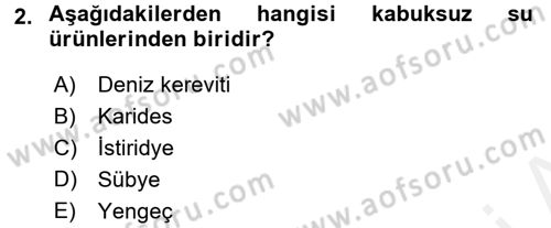 Temel Mutfak Teknikleri Dersi 2016 - 2017 Yılı (Final) Dönem Sonu Sınav Soruları 2. Soru