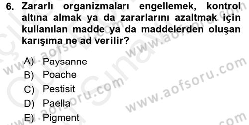 Temel Mutfak Teknikleri Dersi 2016 - 2017 Yılı (Final) Dönem Sonu Sınav Soruları 6. Soru