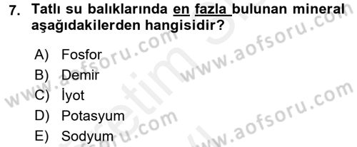 Temel Mutfak Teknikleri Dersi 2017 - 2018 Yılı 3 Ders Sınav Soruları 7. Soru