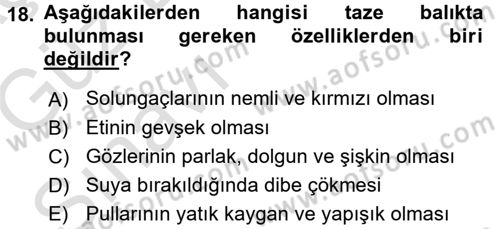 Temel Mutfak Teknikleri Dersi Ara Sınavı Deneme Sınav Soruları 18. Soru