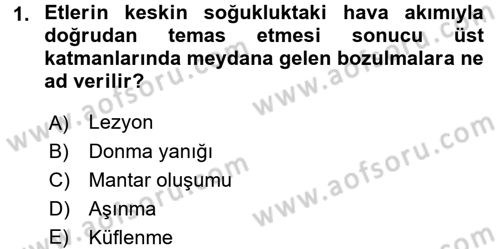 Temel Mutfak Teknikleri Dersi 2017 - 2018 Yılı (Final) Dönem Sonu Sınav Soruları 1. Soru