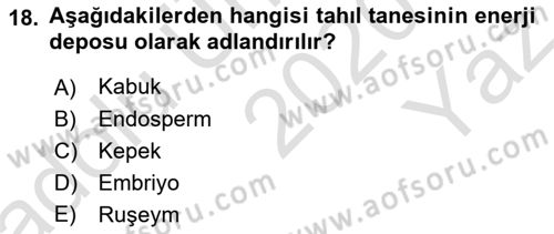 Temel Mutfak Teknikleri Dersi 2020 - 2021 Yılı Yaz Okulu Sınav Soruları 18. Soru