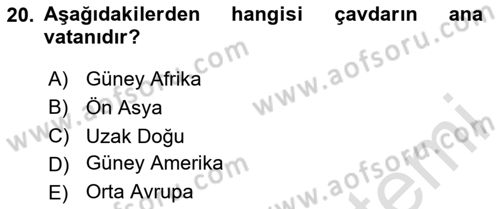 Temel Mutfak Teknikleri Dersi 2020 - 2021 Yılı Yaz Okulu Sınav Soruları 20. Soru