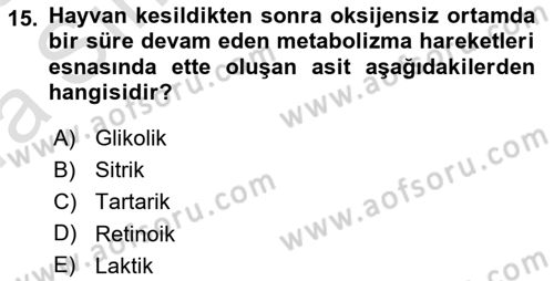 Temel Mutfak Teknikleri Dersi 2022 - 2023 Yılı (Vize) Ara Sınav Soruları 15. Soru