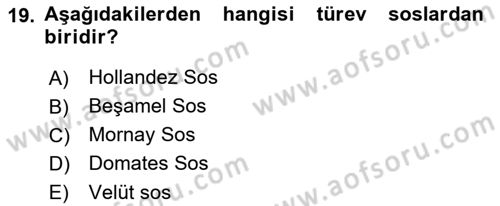 Temel Mutfak Teknikleri Dersi 2022 - 2023 Yılı (Vize) Ara Sınav Soruları 19. Soru