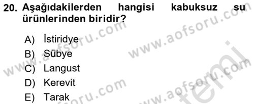 Temel Mutfak Teknikleri Dersi 2022 - 2023 Yılı (Vize) Ara Sınav Soruları 20. Soru