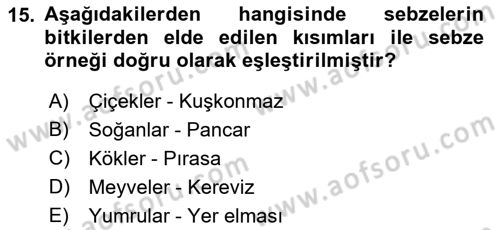 Temel Mutfak Teknikleri Dersi 2022 - 2023 Yılı Yaz Okulu Sınav Soruları 15. Soru