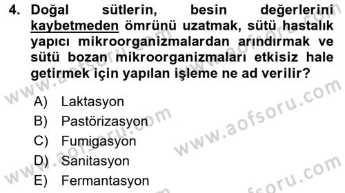 Temel Mutfak Teknikleri Dersi 2023 - 2024 Yılı (Vize) Ara Sınav Soruları 4. Soru
