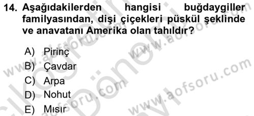 Temel Mutfak Teknikleri Dersi 2023 - 2024 Yılı (Final) Dönem Sonu Sınav Soruları 14. Soru