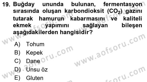 Temel Mutfak Teknikleri Dersi 2023 - 2024 Yılı (Final) Dönem Sonu Sınav Soruları 19. Soru