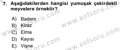 Temel Mutfak Teknikleri Dersi 2023 - 2024 Yılı (Final) Dönem Sonu Sınav Soruları 7. Soru