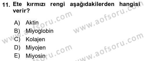 Temel Mutfak Teknikleri Dersi 2023 - 2024 Yılı Yaz Okulu Sınav Soruları 11. Soru