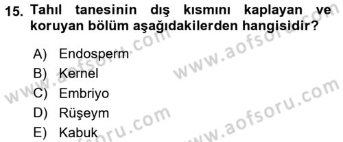 Temel Mutfak Teknikleri Dersi 2023 - 2024 Yılı Yaz Okulu Sınav Soruları 15. Soru