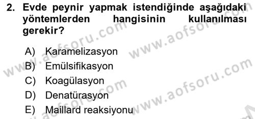 Temel Mutfak Teknikleri Dersi 2024 - 2025 Yılı (Vize) Ara Sınav Soruları 2. Soru