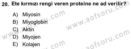 Temel Mutfak Teknikleri Dersi 2024 - 2025 Yılı (Vize) Ara Sınav Soruları 20. Soru