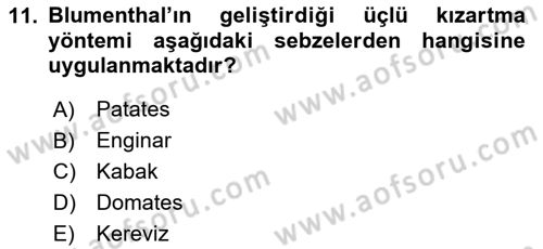 Temel Mutfak Teknikleri Dersi 2024 - 2025 Yılı (Final) Dönem Sonu Sınav Soruları 11. Soru