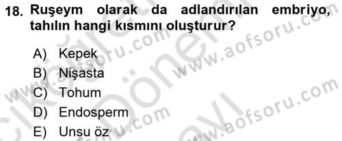 Temel Mutfak Teknikleri Dersi 2024 - 2025 Yılı (Final) Dönem Sonu Sınav Soruları 18. Soru